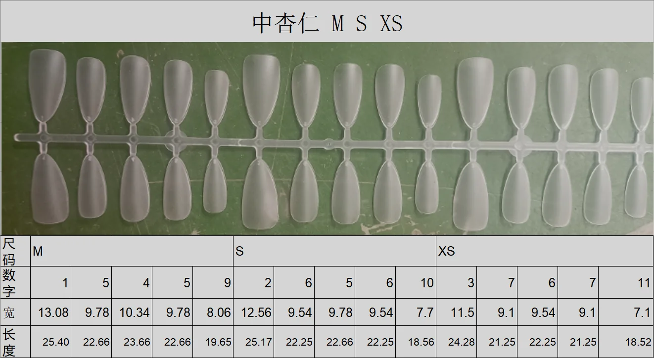 中杏仁 M S XS