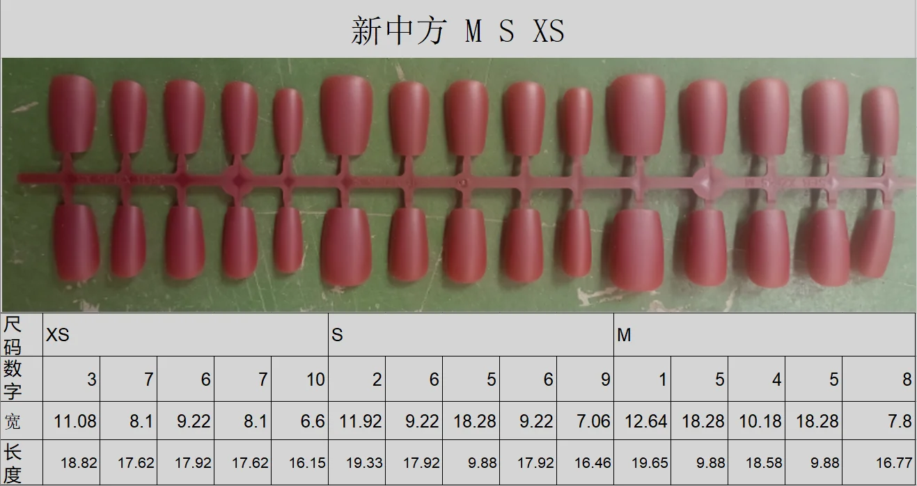 新中方 M S XS