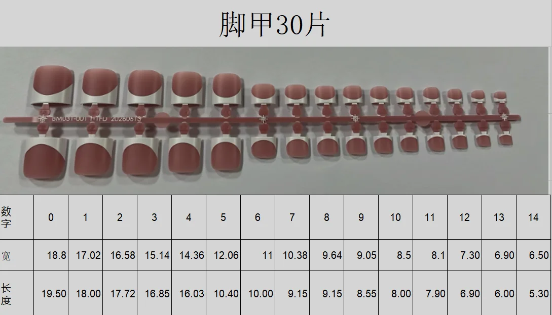脚甲30片